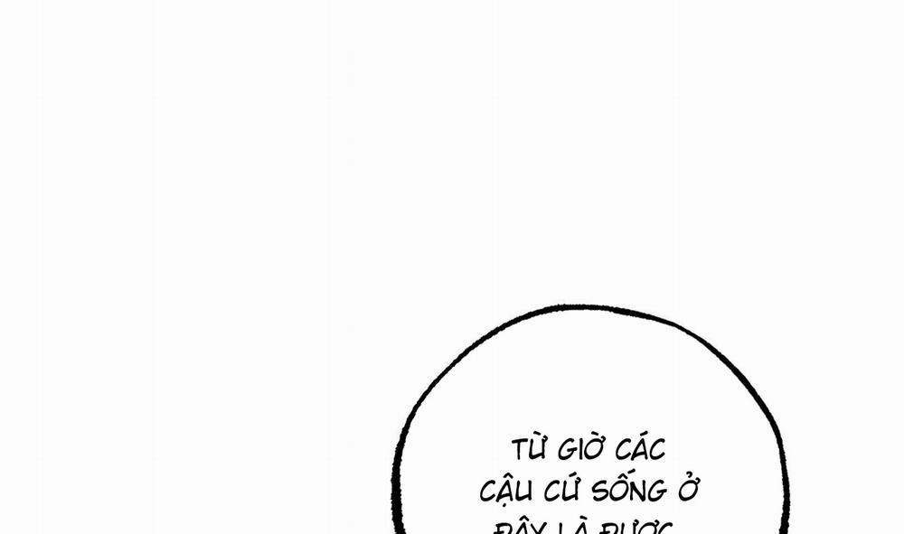 Những Chú Thỏ Của Hapypy 51 trang 228