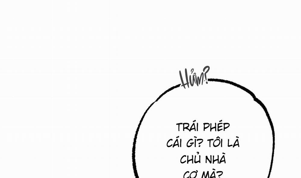 Những Chú Thỏ Của Hapypy 51 trang 238