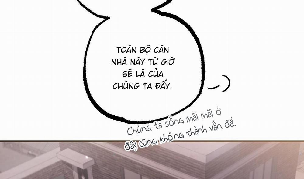 Những Chú Thỏ Của Hapypy 51 trang 245