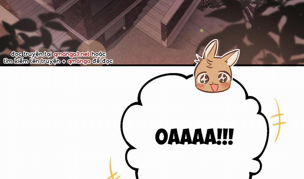 Những Chú Thỏ Của Hapypy 51 trang 247