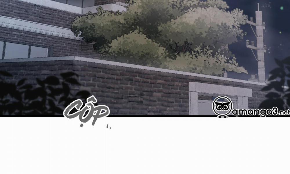 Những Chú Thỏ Của Hapypy 51 trang 275