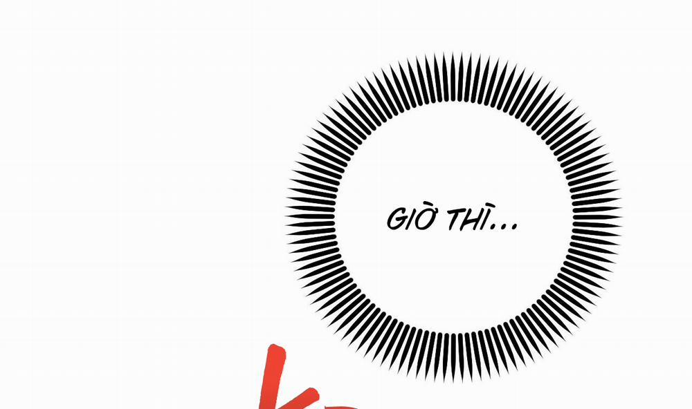 Những Chú Thỏ Của Hapypy 51 trang 289