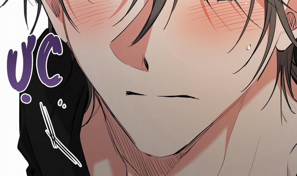 Những Chú Thỏ Của Hapypy 51 trang 294