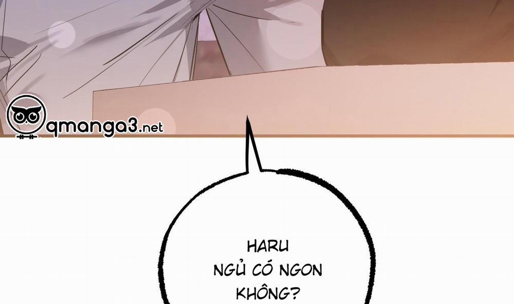 Những Chú Thỏ Của Hapypy 51 trang 33