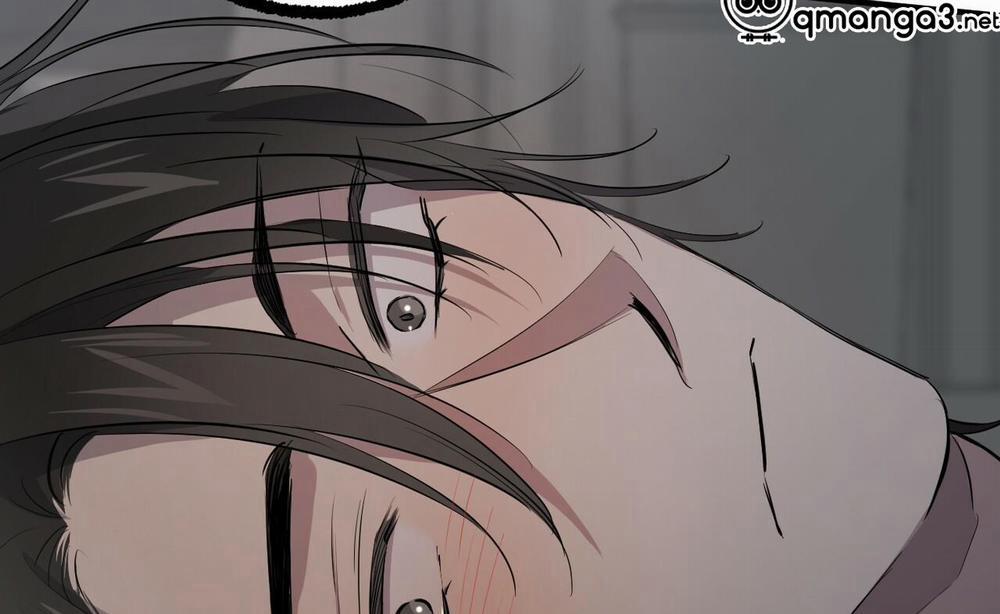 Những Chú Thỏ Của Hapypy 52 trang 125