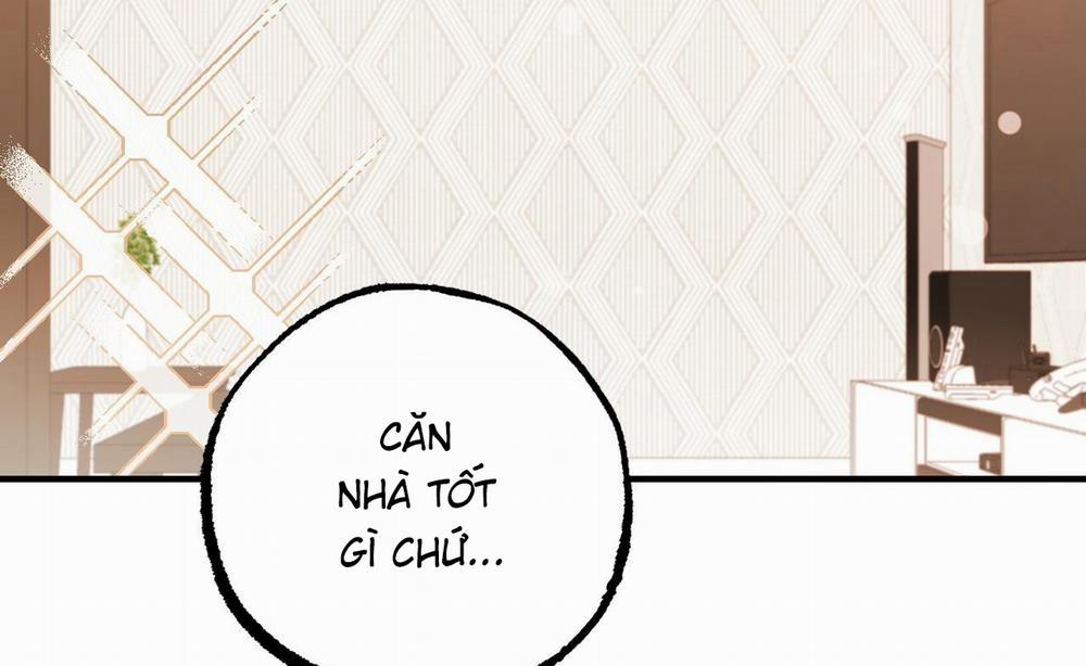 Những Chú Thỏ Của Hapypy 52 trang 142