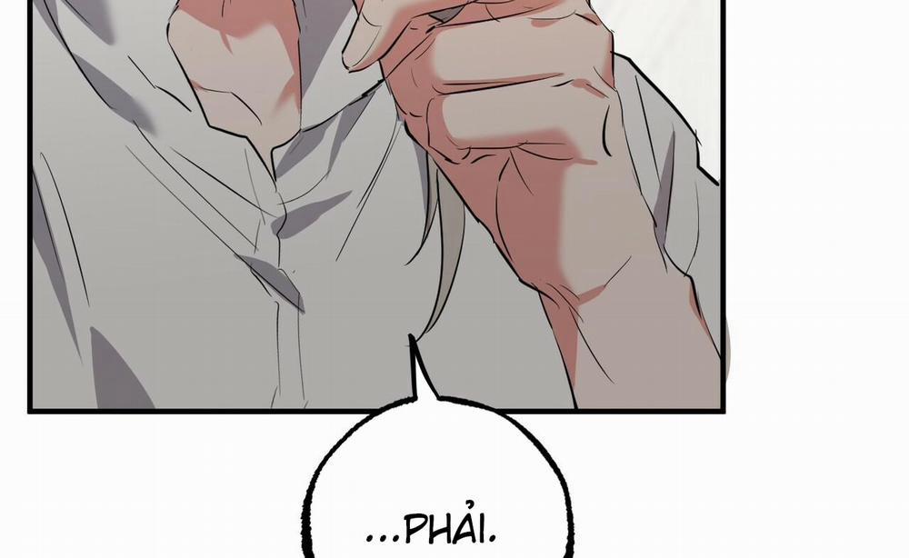 Những Chú Thỏ Của Hapypy 52 trang 168