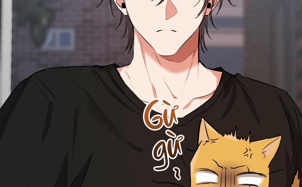 Những Chú Thỏ Của Hapypy 52 trang 194