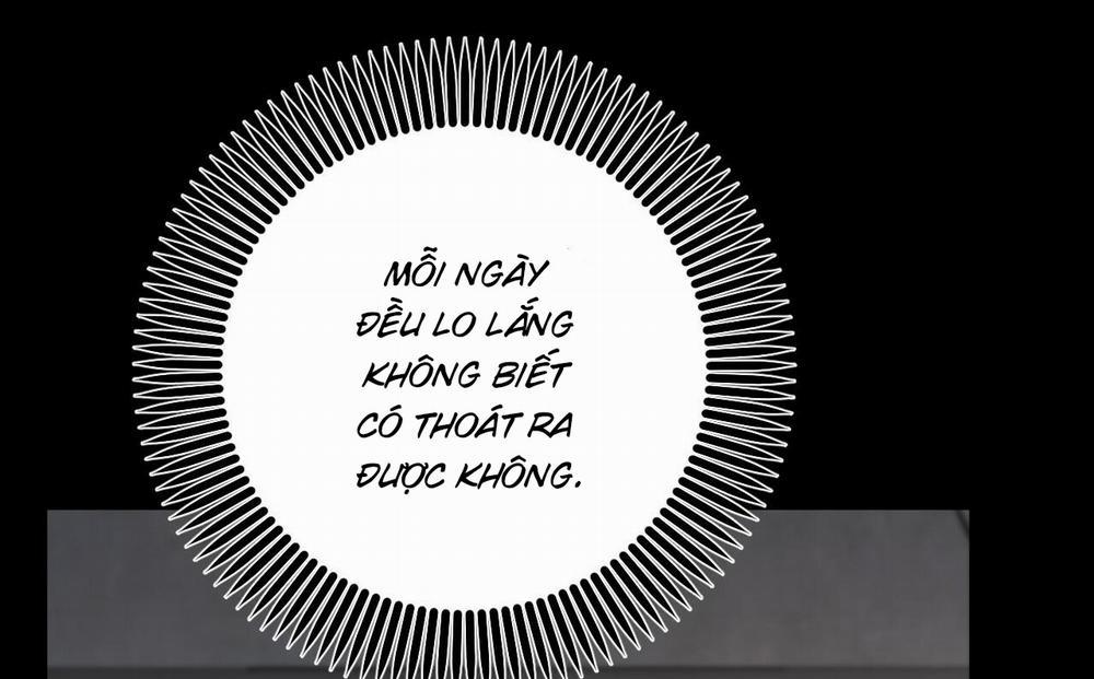 Những Chú Thỏ Của Hapypy 52 trang 21