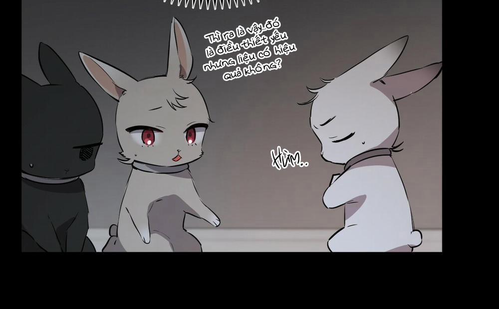 Những Chú Thỏ Của Hapypy 52 trang 22