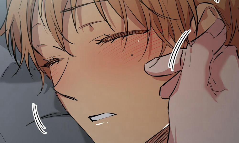 Những Chú Thỏ Của Hapypy 52 trang 230