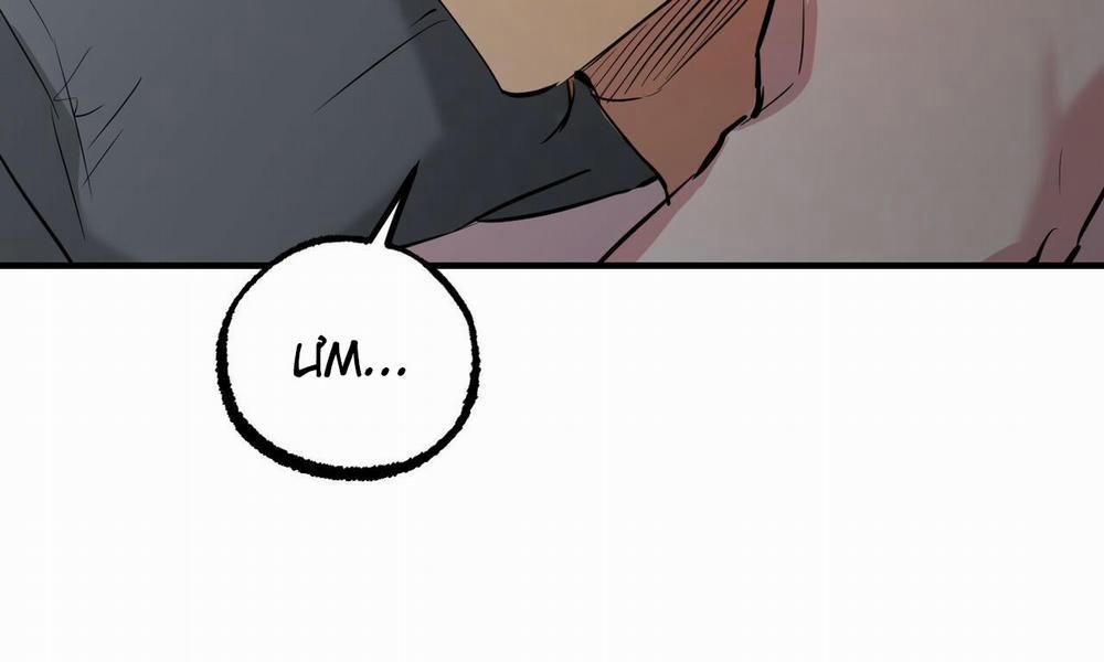 Những Chú Thỏ Của Hapypy 52 trang 231