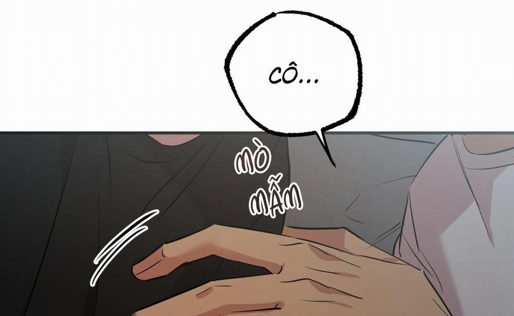 Những Chú Thỏ Của Hapypy 52 trang 233