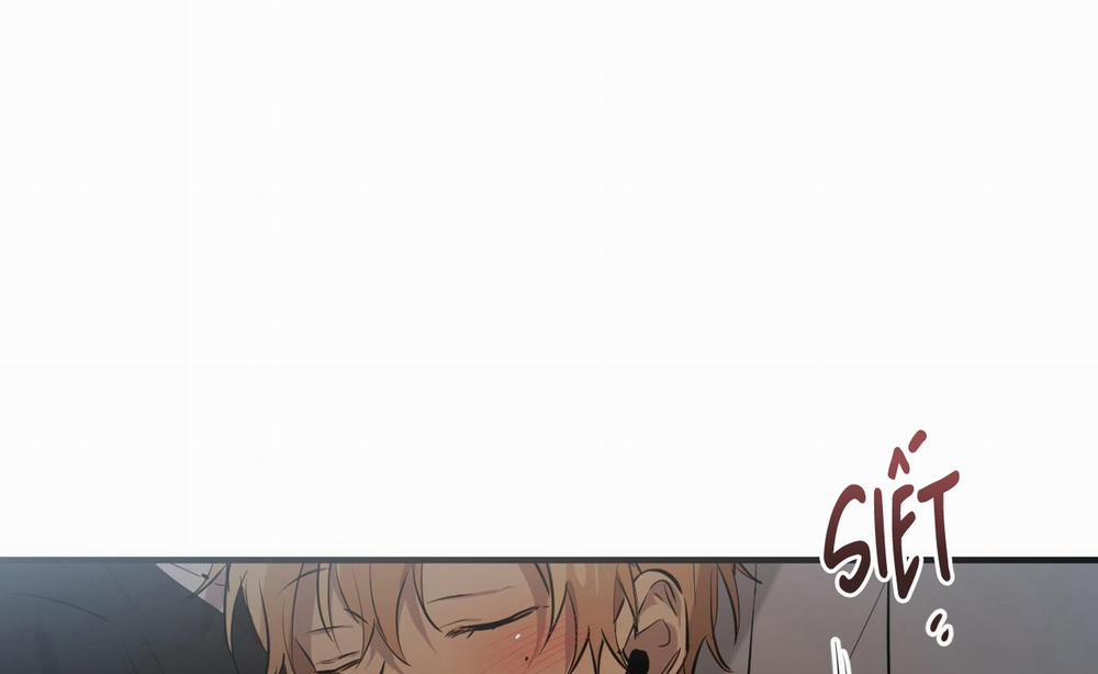 Những Chú Thỏ Của Hapypy 52 trang 243