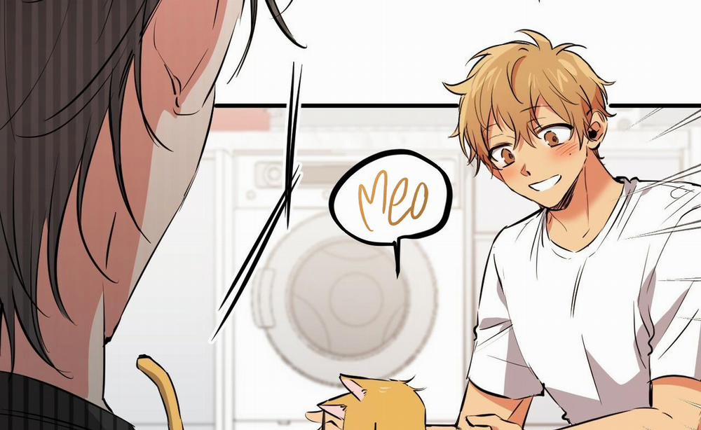 Những Chú Thỏ Của Hapypy 52 trang 48