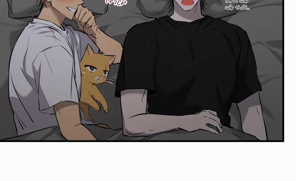 Những Chú Thỏ Của Hapypy 52 trang 79