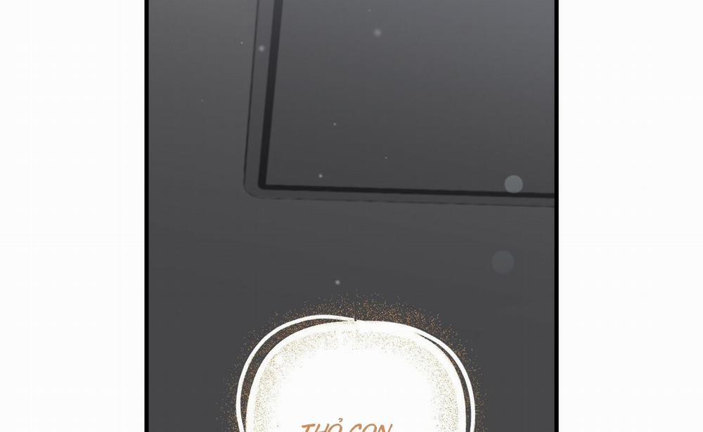 Những Chú Thỏ Của Hapypy 52 trang 89