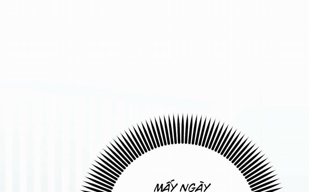 Những Chú Thỏ Của Hapypy 52 trang 9