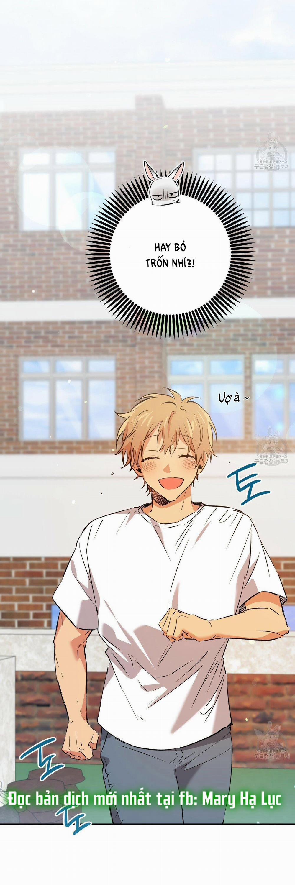 Những Chú Thỏ Của Hapypy 53.1 trang 11