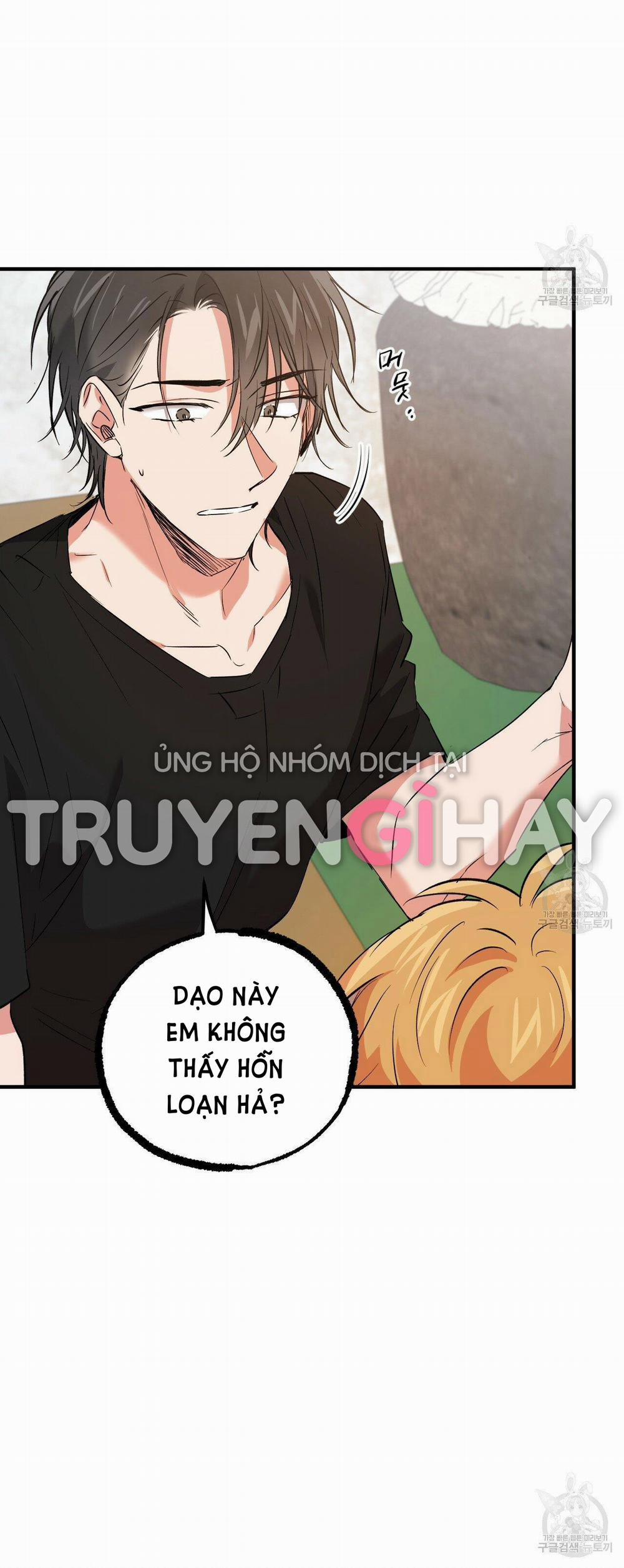 Những Chú Thỏ Của Hapypy 53.1 trang 15