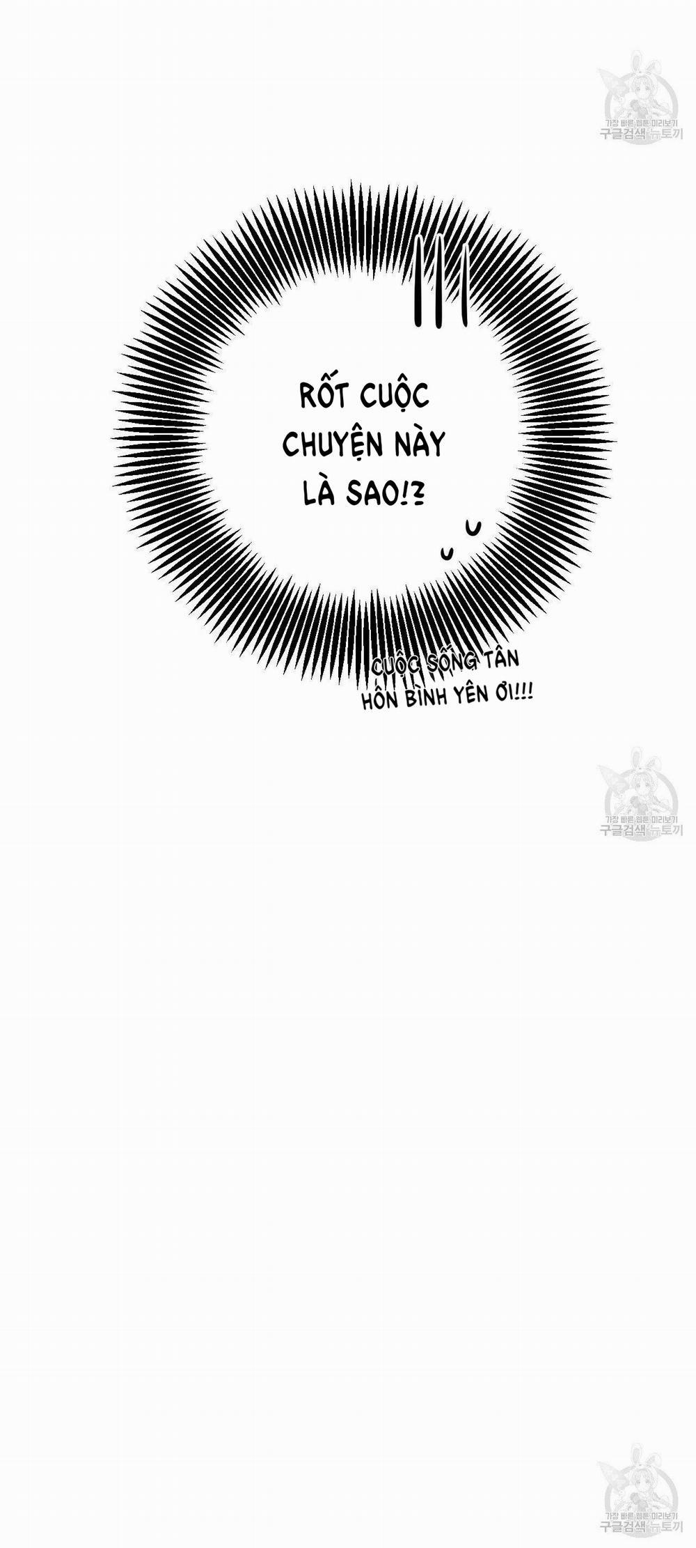 Những Chú Thỏ Của Hapypy 53.1 trang 3