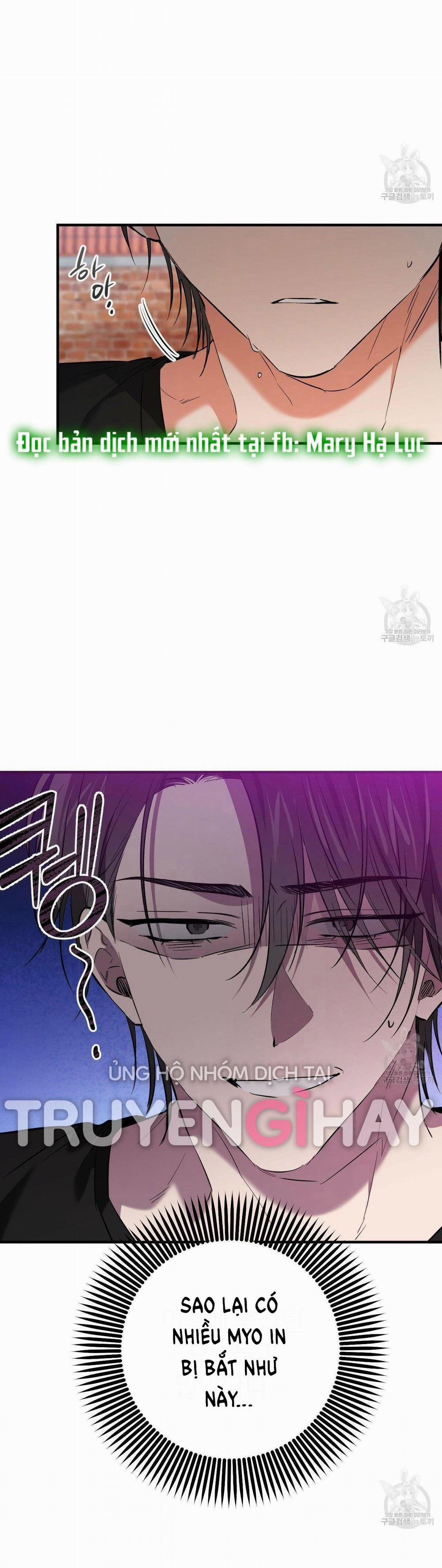 Những Chú Thỏ Của Hapypy 53.1 trang 6