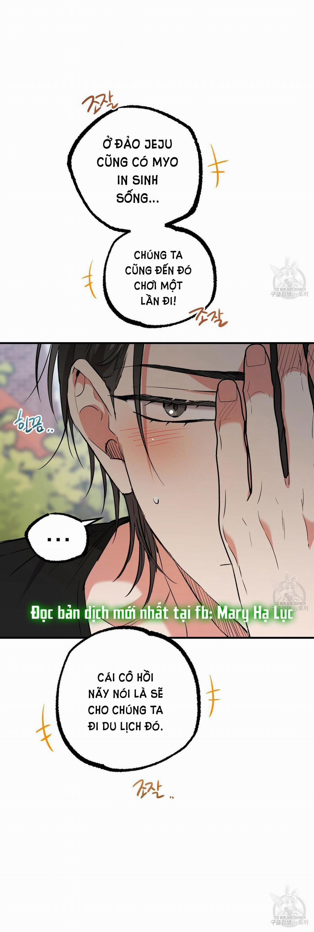 Những Chú Thỏ Của Hapypy 53.2 trang 0