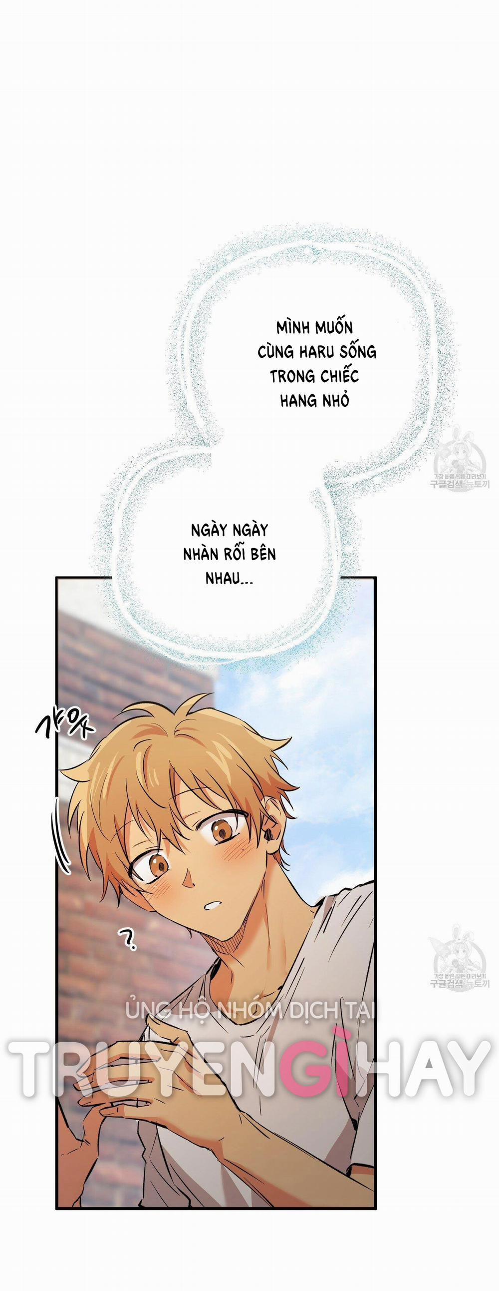 Những Chú Thỏ Của Hapypy 53.2 trang 1