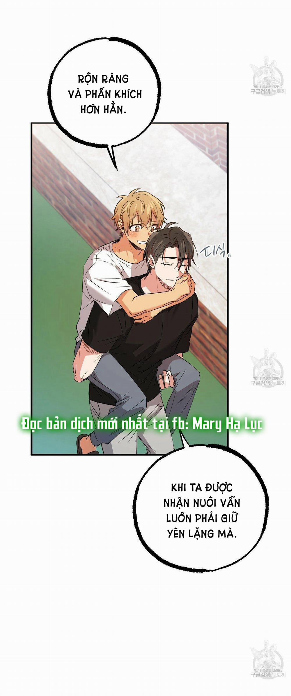 Những Chú Thỏ Của Hapypy 53.2 trang 12