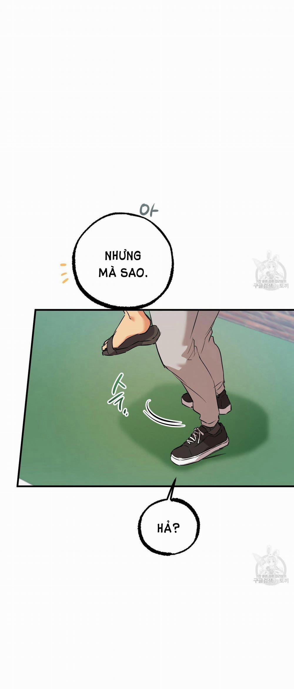 Những Chú Thỏ Của Hapypy 53.2 trang 21