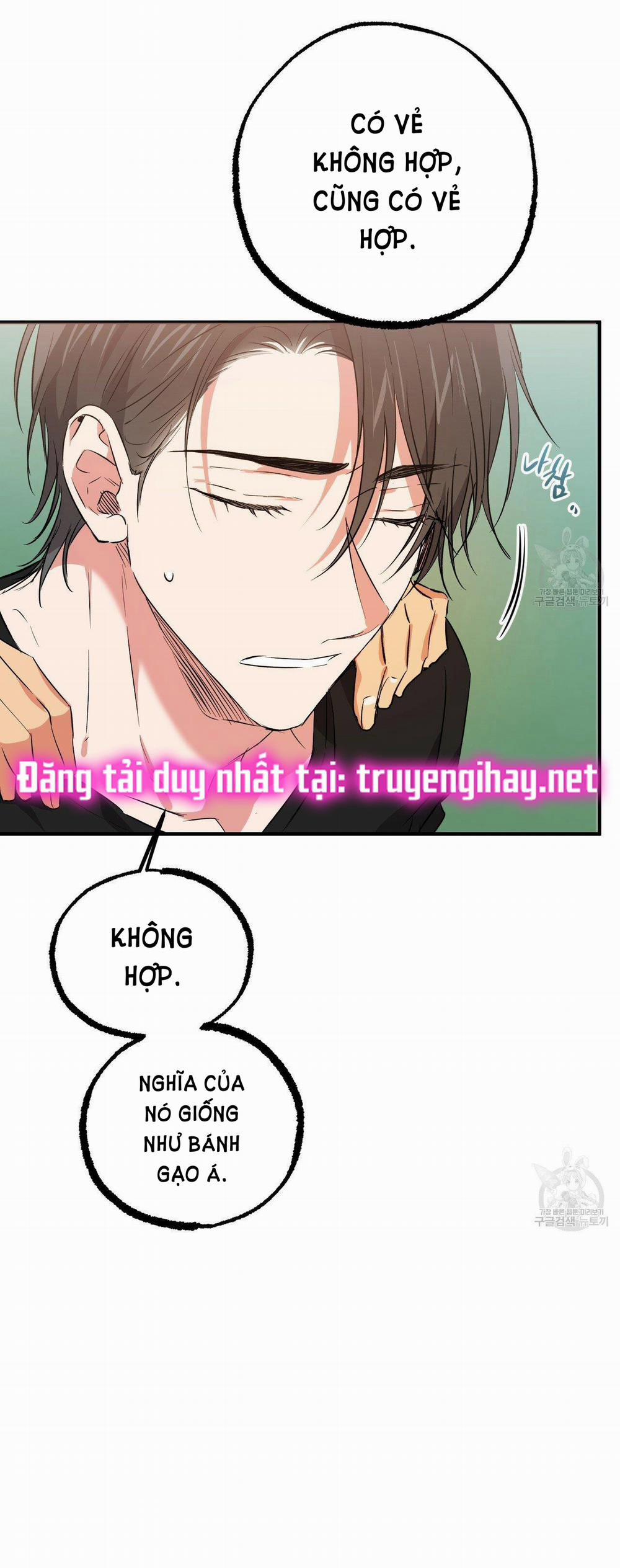 Những Chú Thỏ Của Hapypy 53.2 trang 23