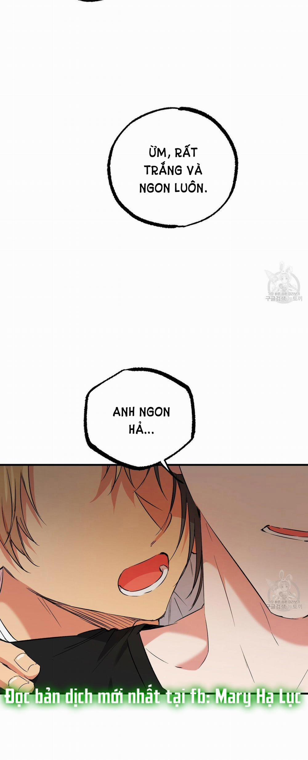 Những Chú Thỏ Của Hapypy 53.2 trang 25