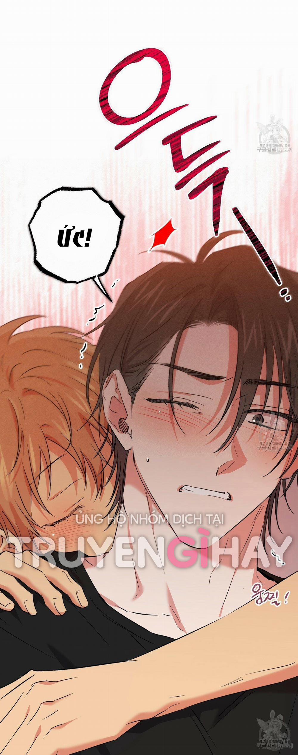 Những Chú Thỏ Của Hapypy 53.2 trang 26