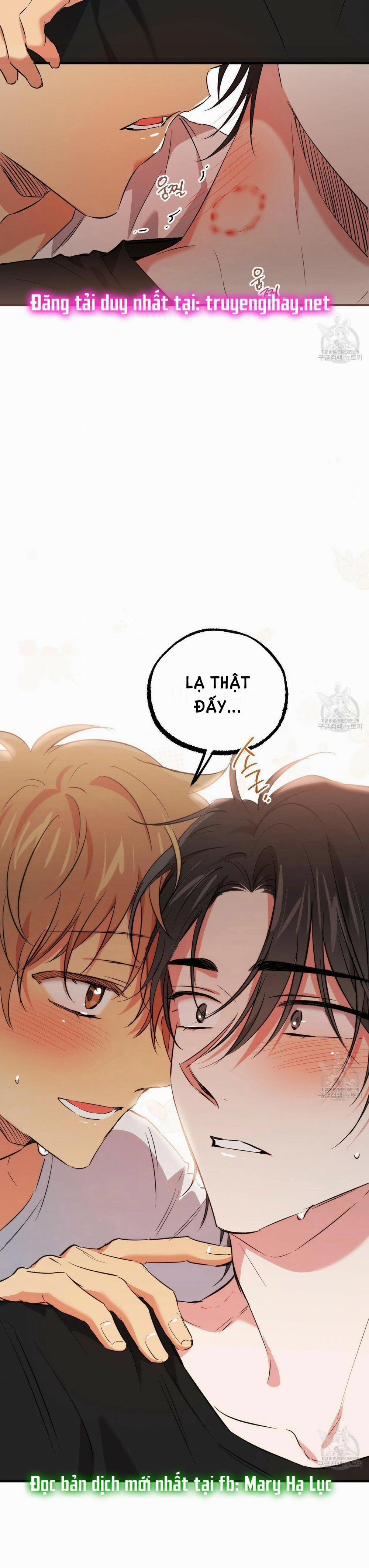 Những Chú Thỏ Của Hapypy 53.2 trang 27