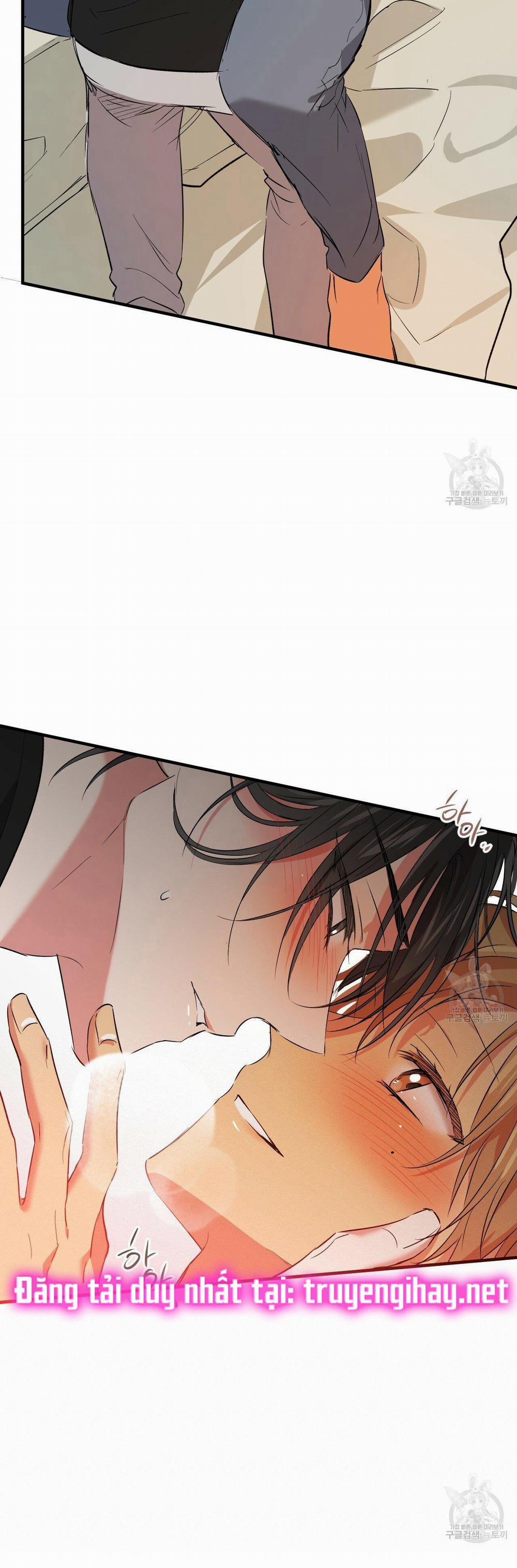 Những Chú Thỏ Của Hapypy 53.2 trang 32