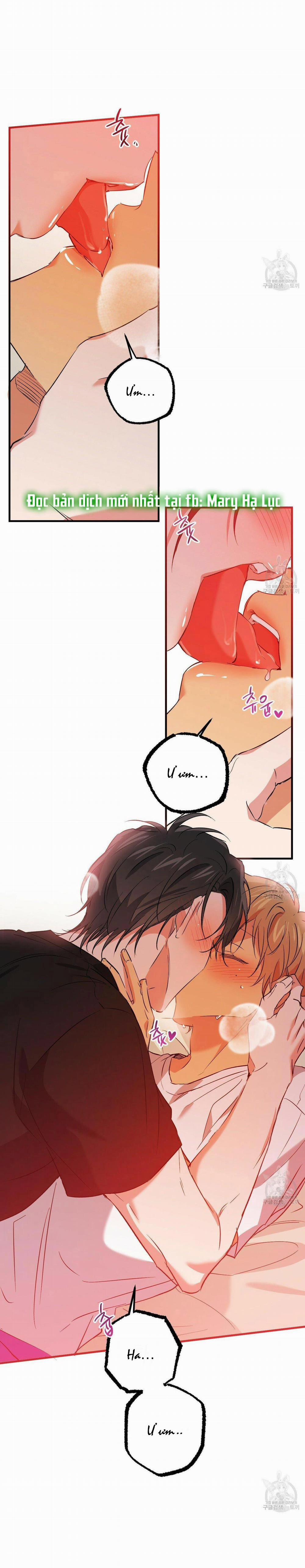 Những Chú Thỏ Của Hapypy 53.2 trang 33