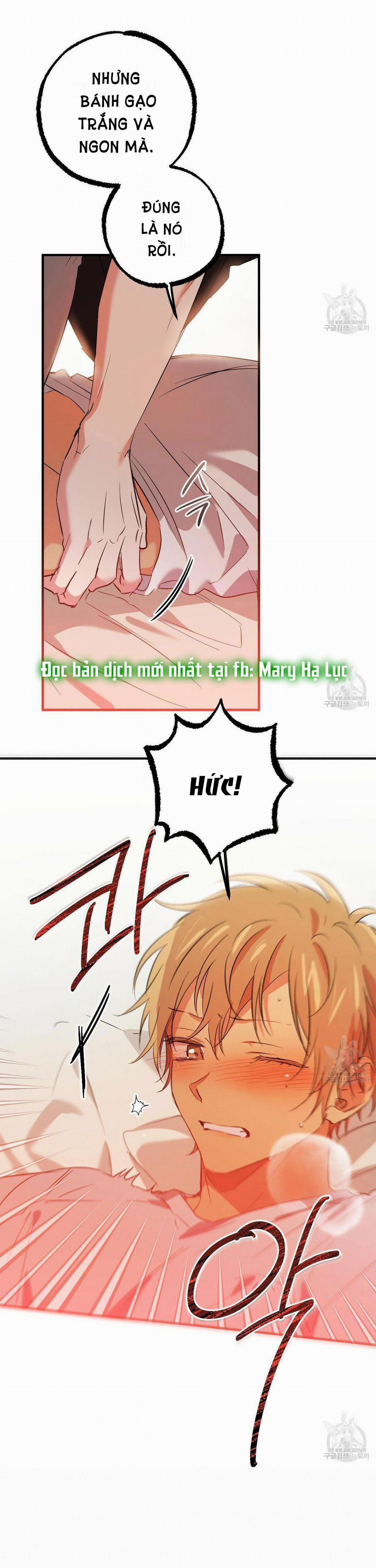 Những Chú Thỏ Của Hapypy 53.2 trang 37