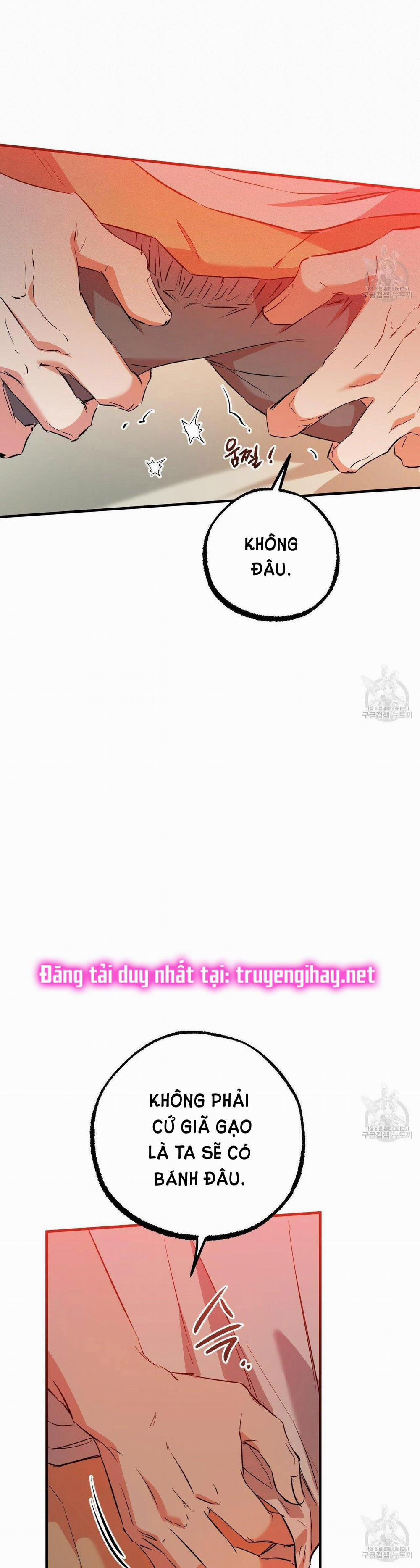 Những Chú Thỏ Của Hapypy 53.2 trang 38