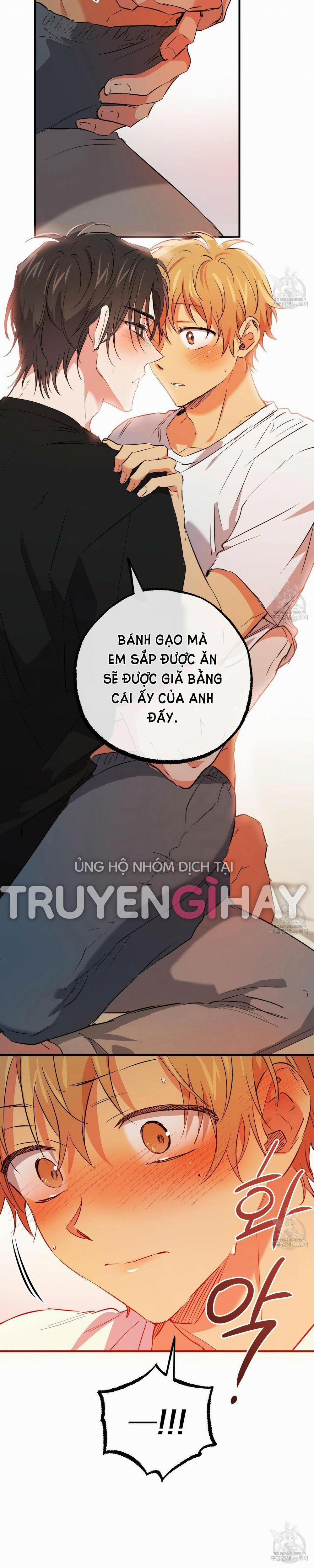 Những Chú Thỏ Của Hapypy 53.2 trang 39