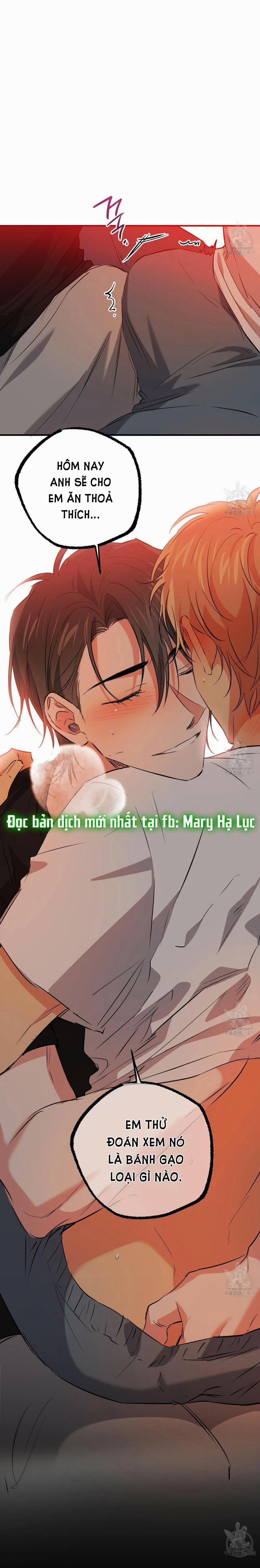 Những Chú Thỏ Của Hapypy 53.2 trang 40