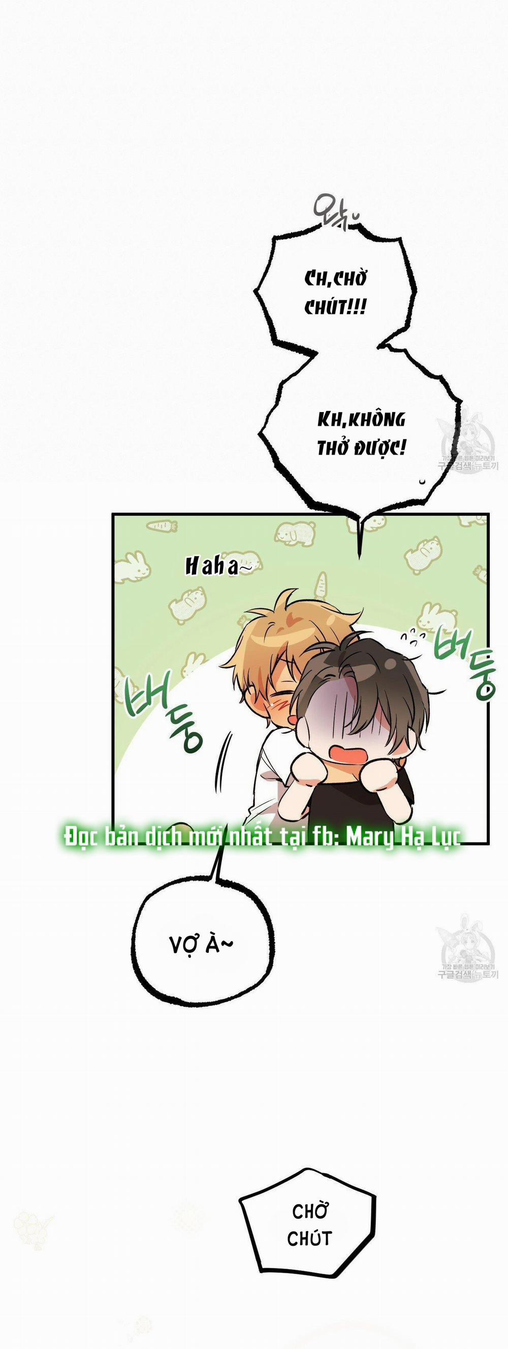 Những Chú Thỏ Của Hapypy 53.2 trang 5