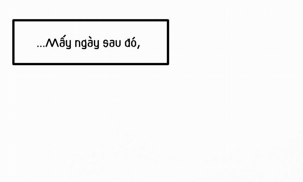 Những Chú Thỏ Của Hapypy 53 trang 10