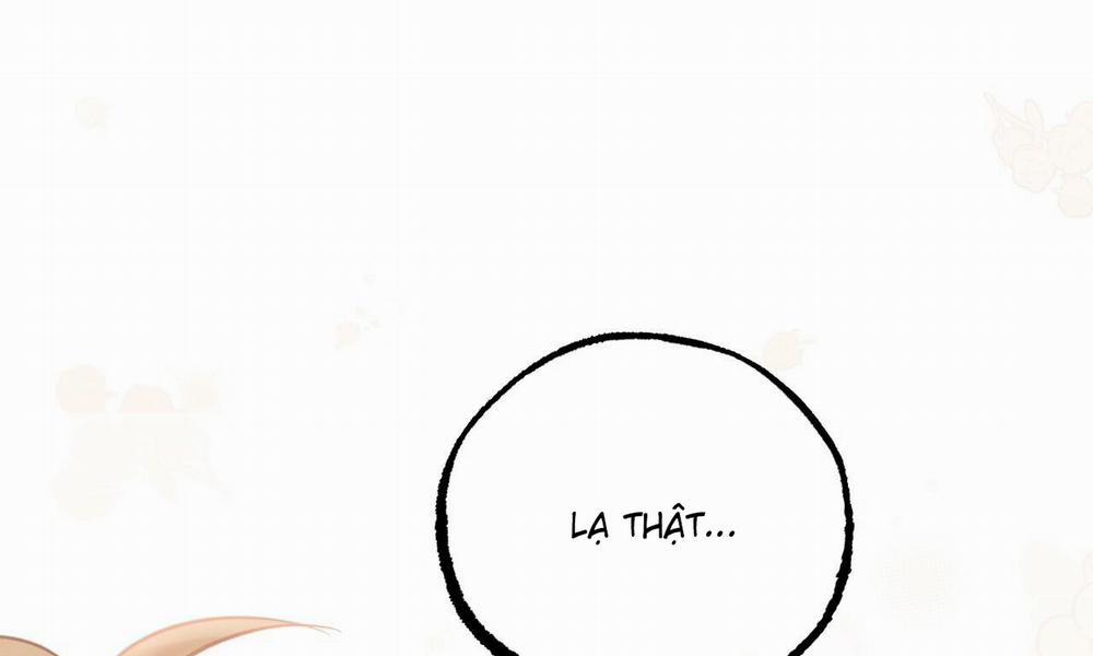 Những Chú Thỏ Của Hapypy 53 trang 195