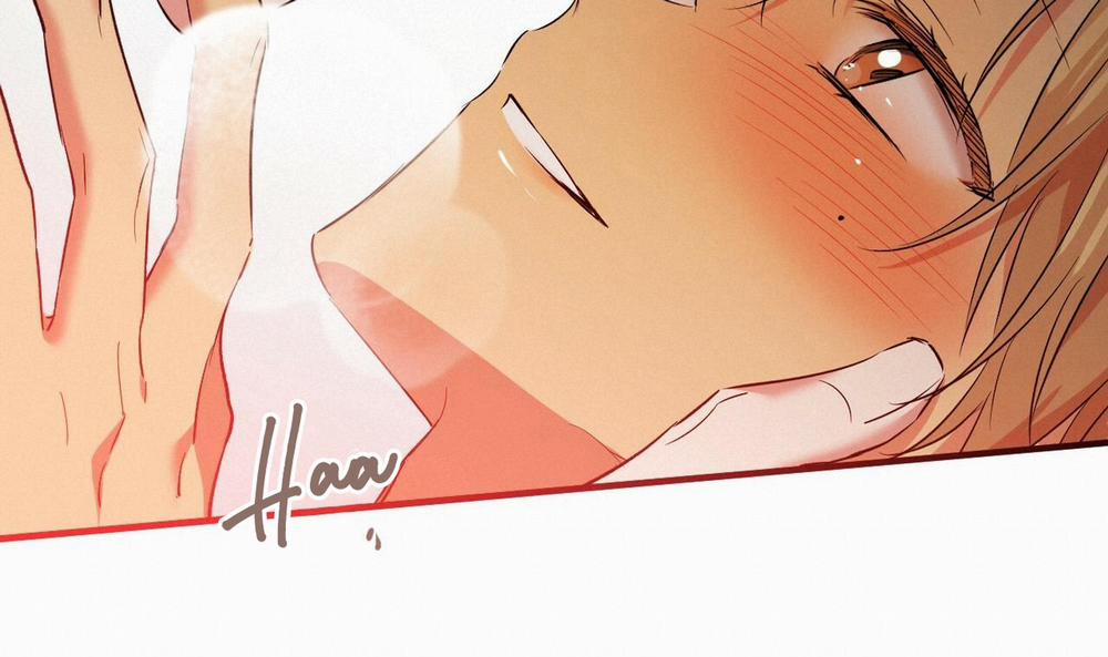 Những Chú Thỏ Của Hapypy 53 trang 221