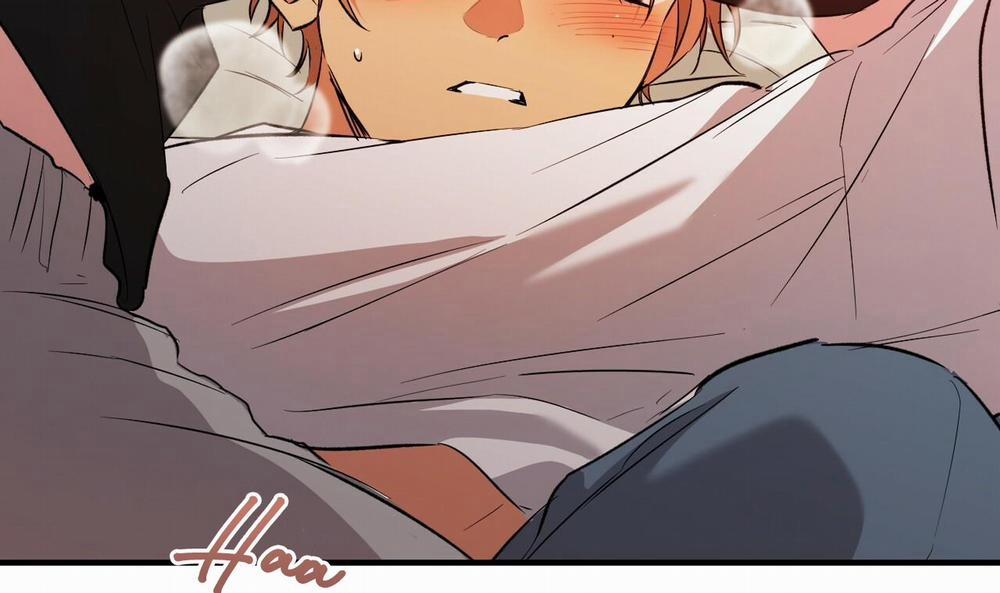 Những Chú Thỏ Của Hapypy 53 trang 236