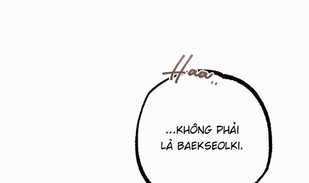 Những Chú Thỏ Của Hapypy 53 trang 242