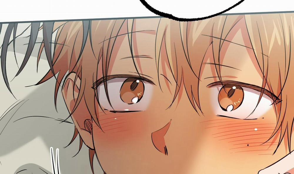 Những Chú Thỏ Của Hapypy 53 trang 243