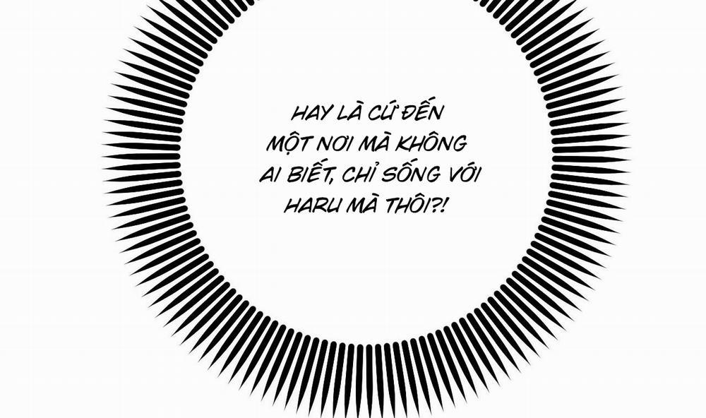 Những Chú Thỏ Của Hapypy 53 trang 49