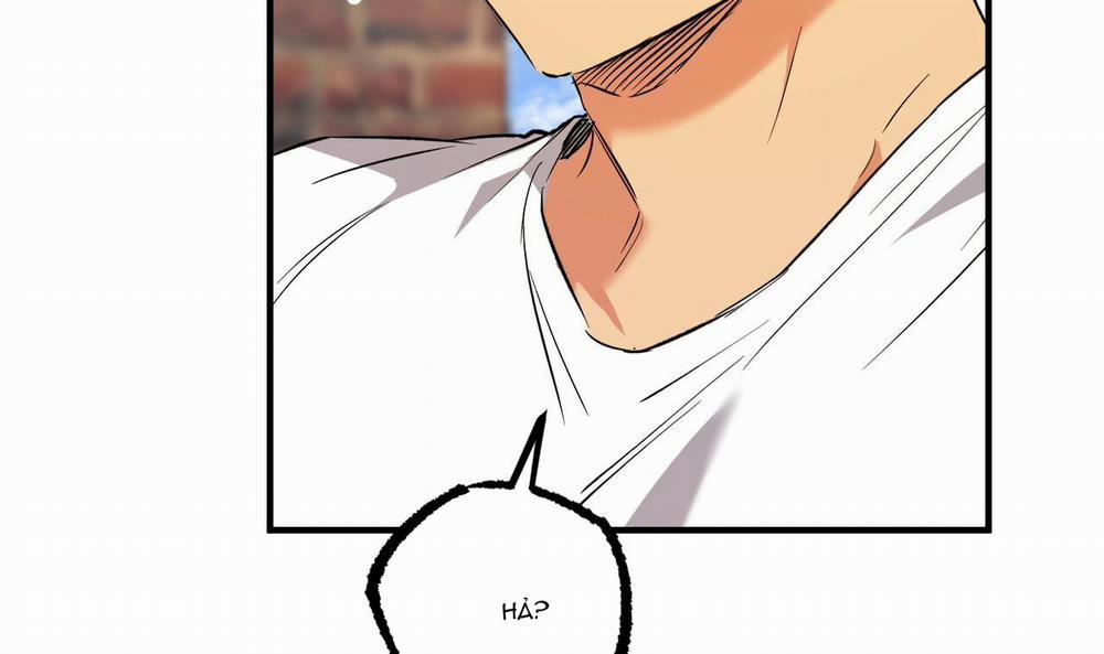 Những Chú Thỏ Của Hapypy 53 trang 57