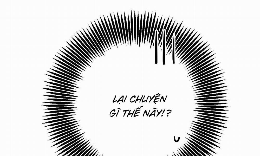 Những Chú Thỏ Của Hapypy 53 trang 6